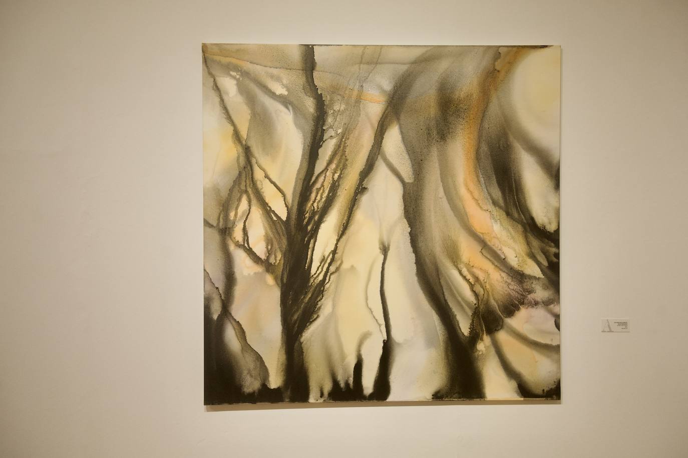 Antonio Tapia expone &#039;Engrama: emociones y memoria&#039;