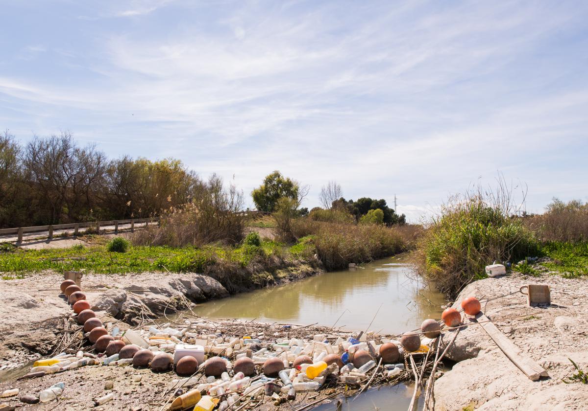 Cauce del río Segura a su paso entre Rojales y Guardamar.