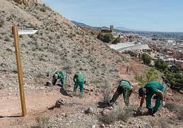 Trabajadores de los consejos comarcales de empleo ultiman el nuevo tramo de la Ruta de las Ermitas.