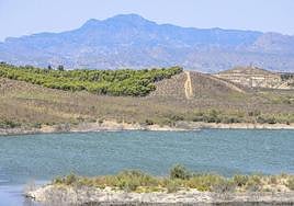Embalse de Santomera, en una imagen de archivo.