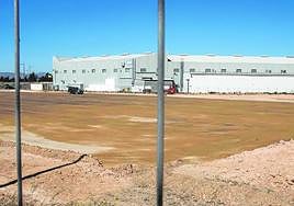 Vista general de los terrenos donde la empresa de construcción de barcos Sinergia Racing Group levantará dos naves para la ampliación de sus instalaciones, ubicadas al fondo.