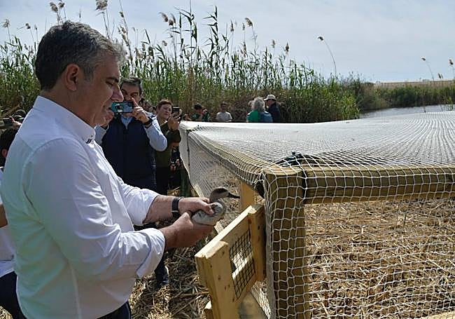 El consejero de Medio Ambiente, Juan María Vázquez, introduce una de las aves en el jaulón de aclimatación.