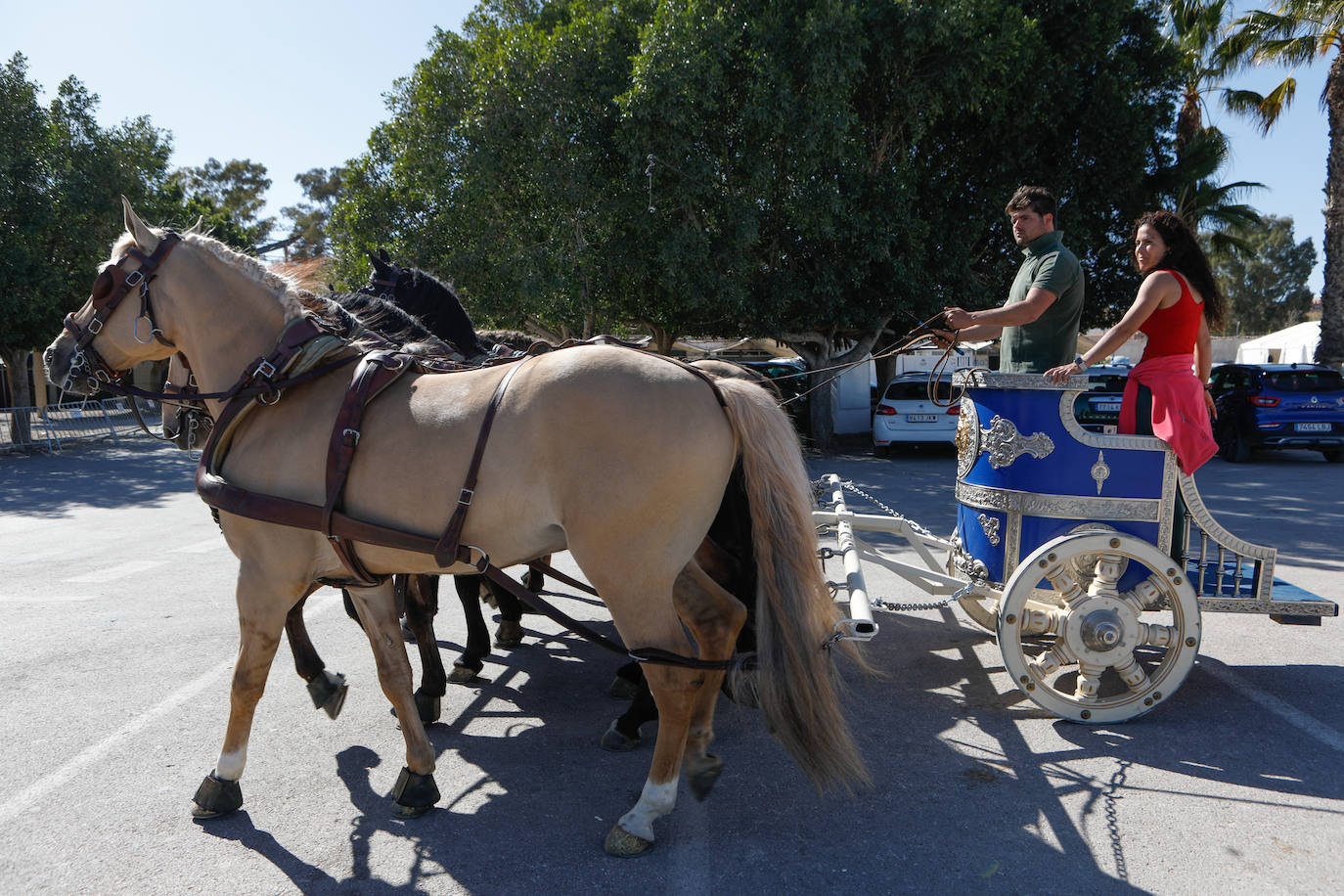 Más de 400 caballos preparados en Lorca para la carrera