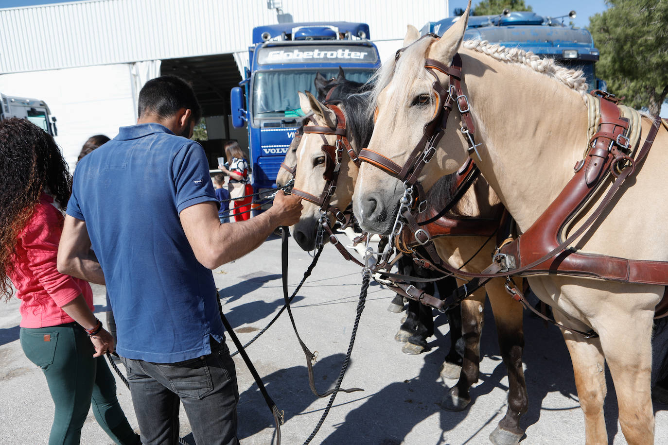 Más de 400 caballos preparados en Lorca para la carrera