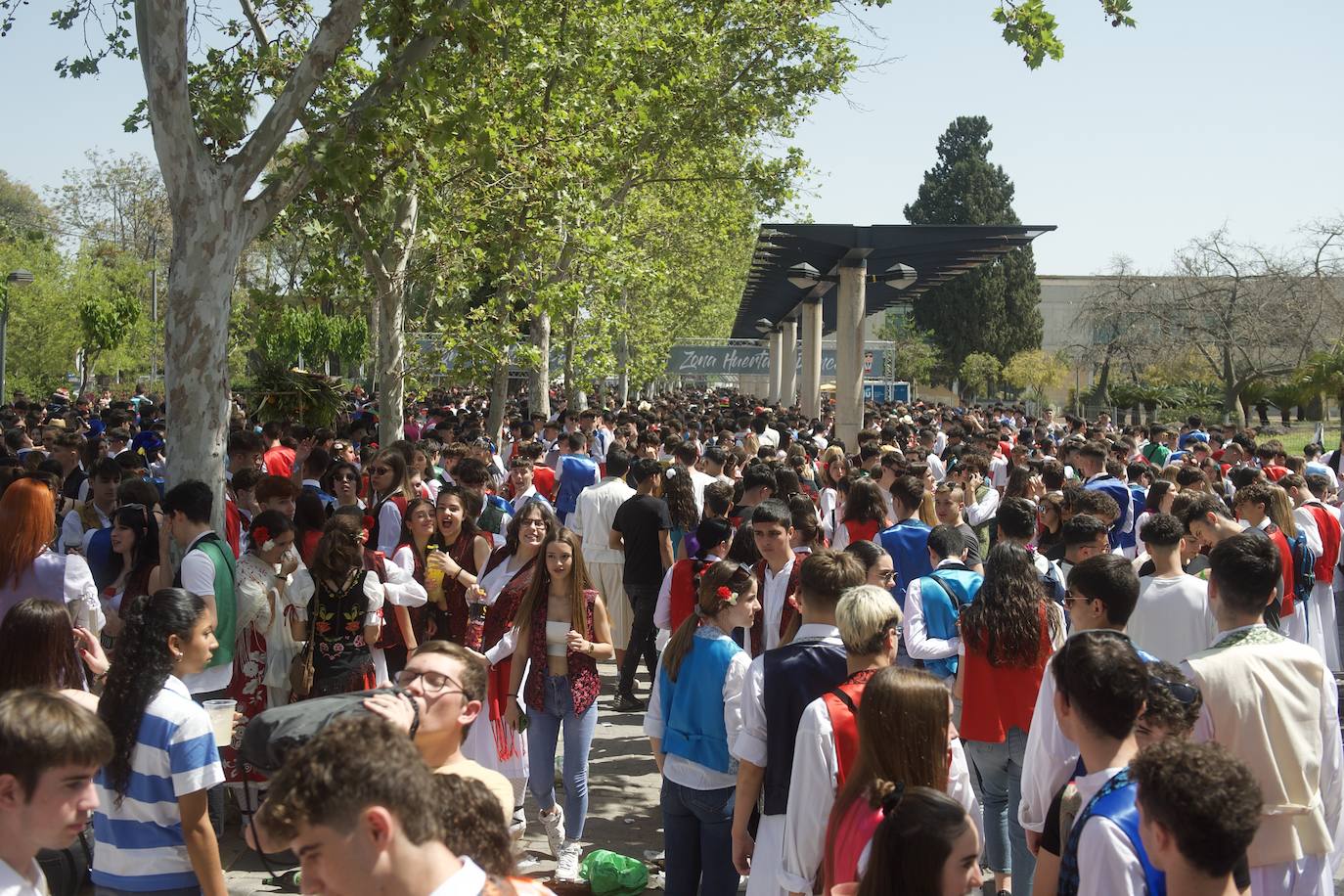 Ambiente en Murcia en el Bando de la Huerta, en imágenes