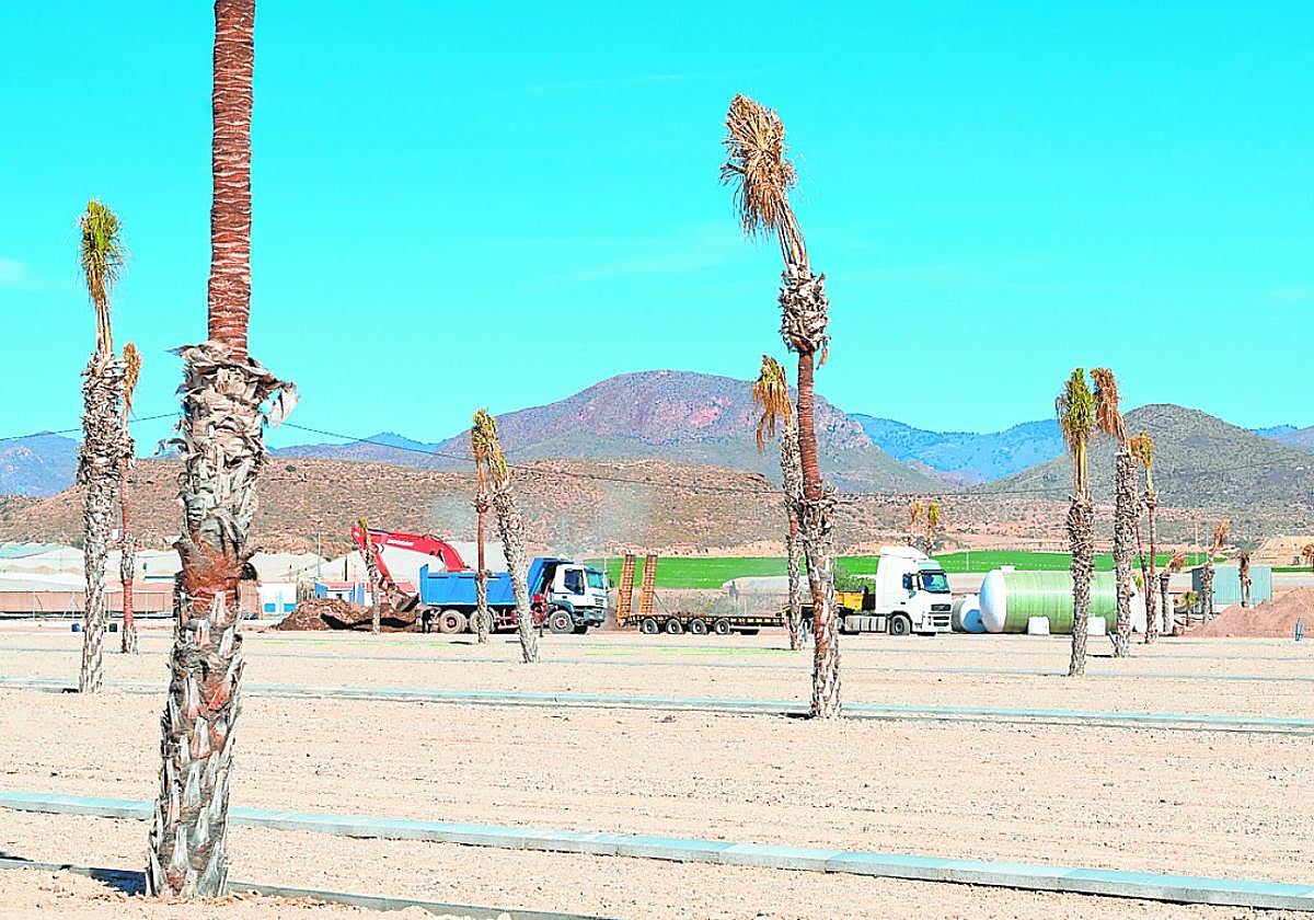 Maquinaria trabajando en el interior del recinto del futuro camping, el pasado sábado.
