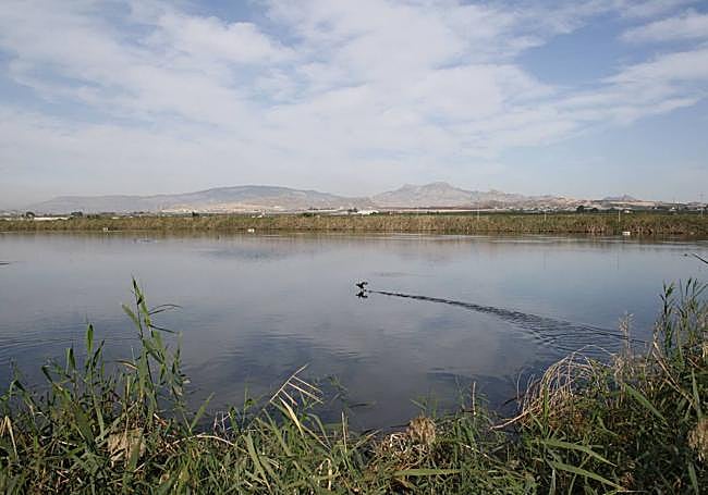 Lagunas de Campotéjar.