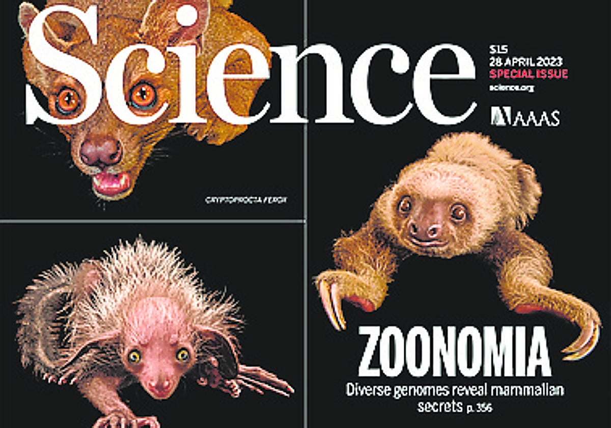 Portada de 'Science'.