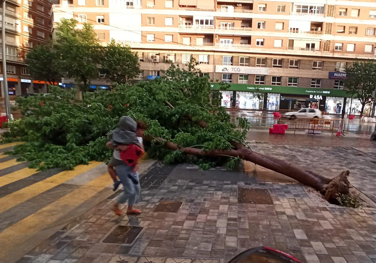 Una mujer, con un niño en brazos, pasa junto al árbol que la tormenta derribó en la avenida Primo de Rivera.