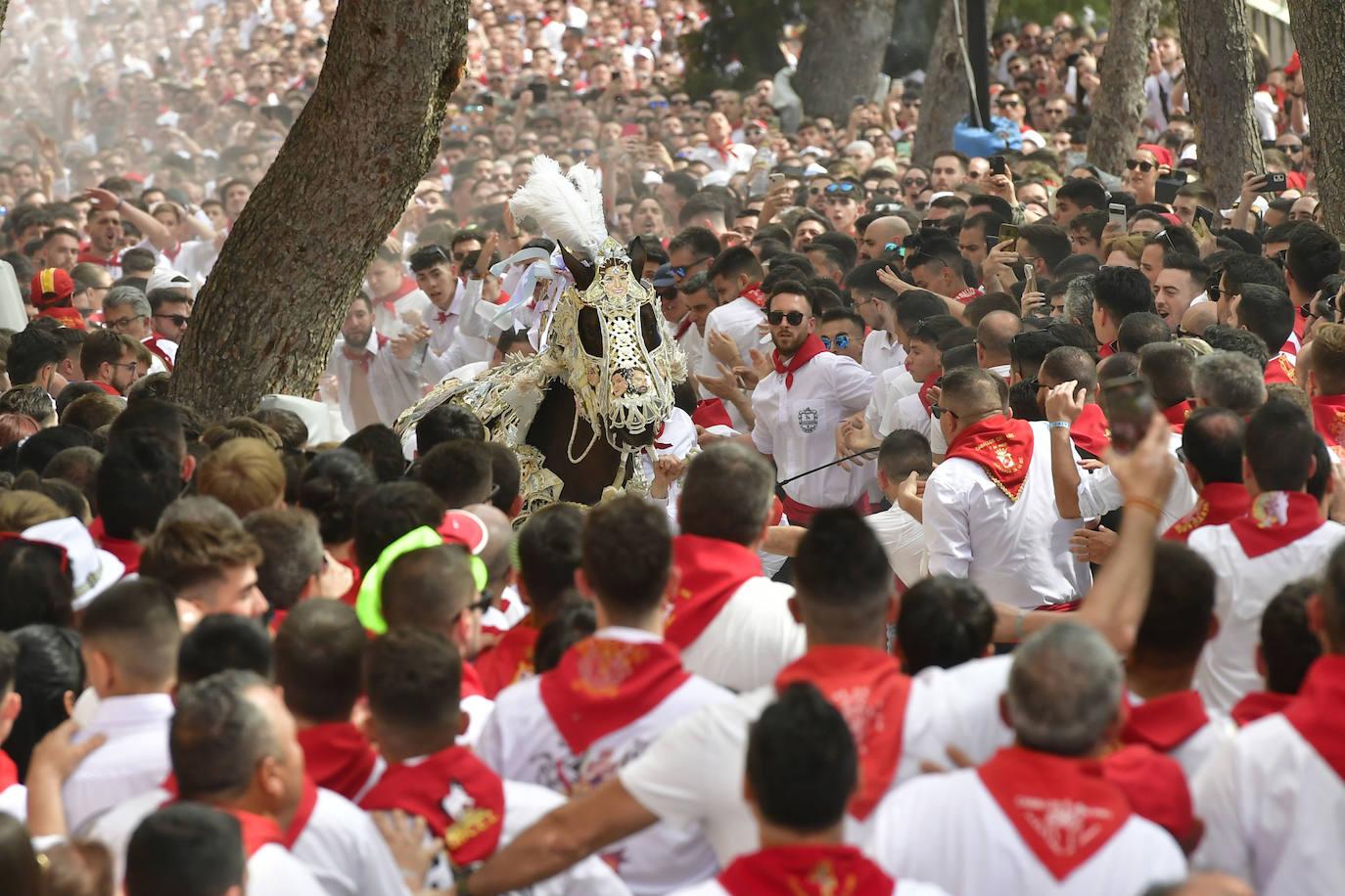 La carrera de los Caballos del Vino de Caravaca de la Cruz 2023, en imágenes