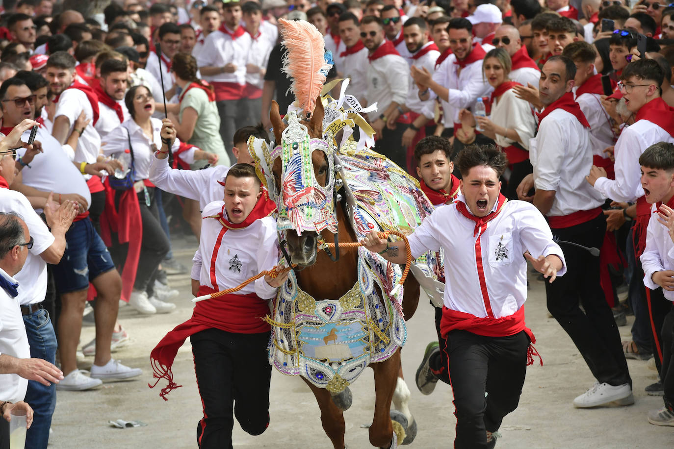 La carrera de los Caballos del Vino de Caravaca de la Cruz 2023, en imágenes