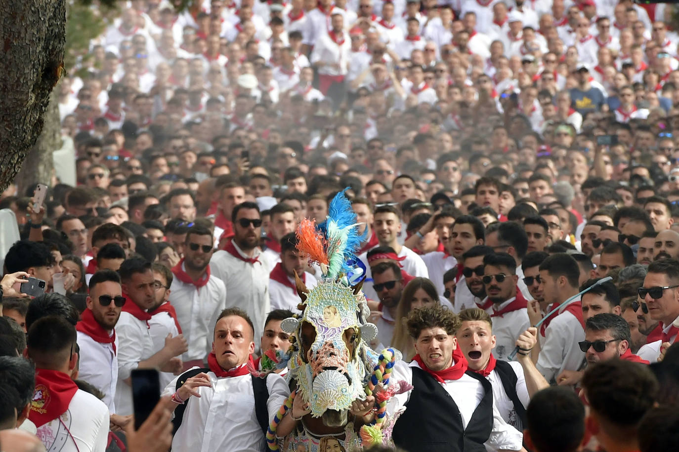 La carrera de los Caballos del Vino de Caravaca de la Cruz 2023, en imágenes