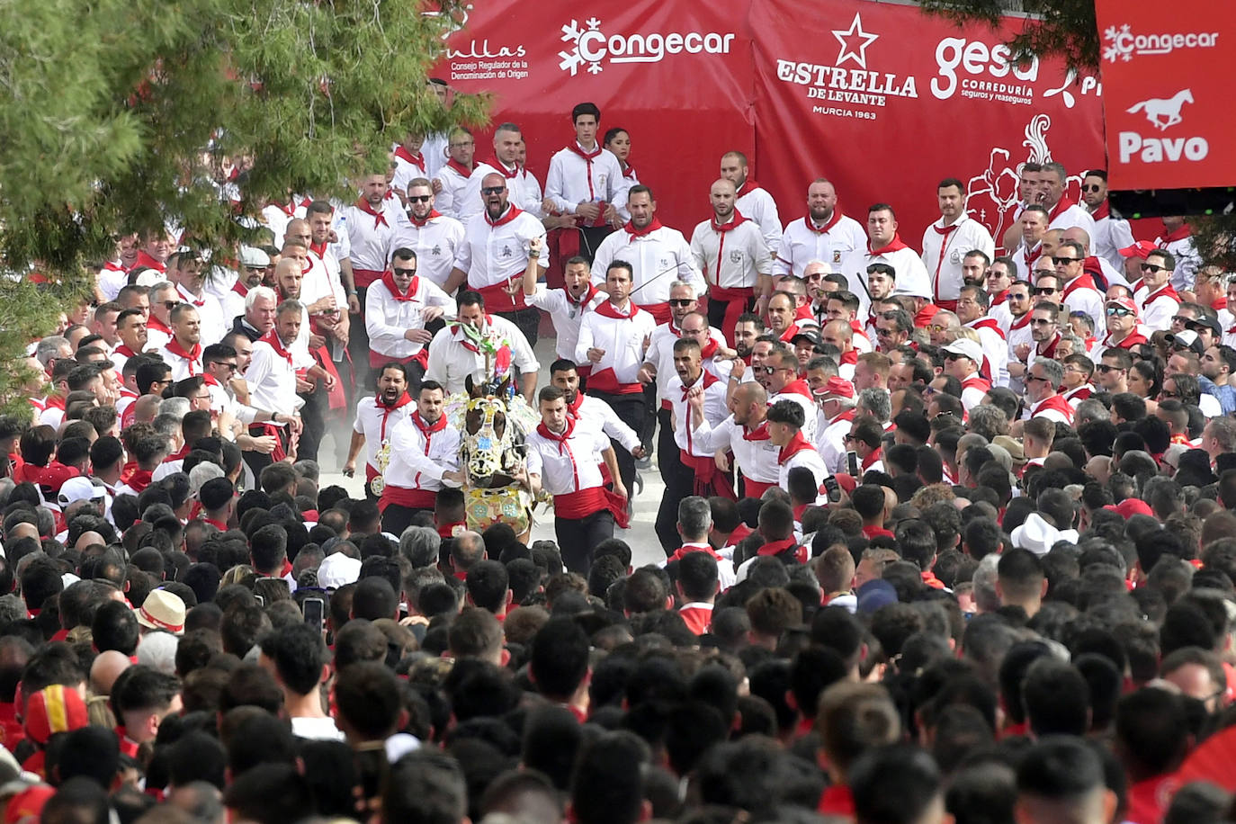 La carrera de los Caballos del Vino de Caravaca de la Cruz 2023, en imágenes