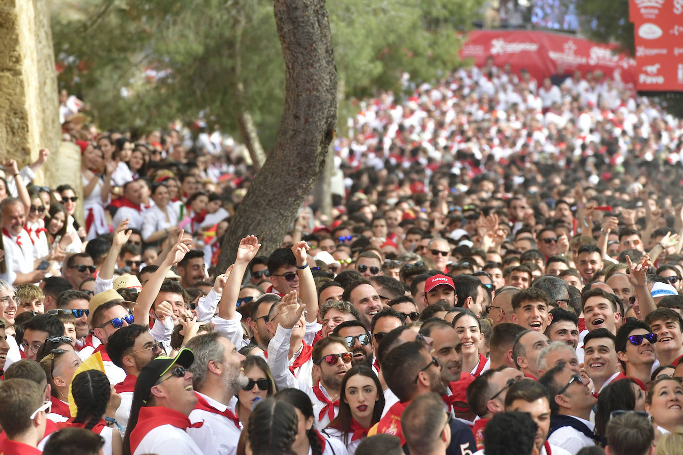 La carrera de los Caballos del Vino de Caravaca de la Cruz 2023, en imágenes