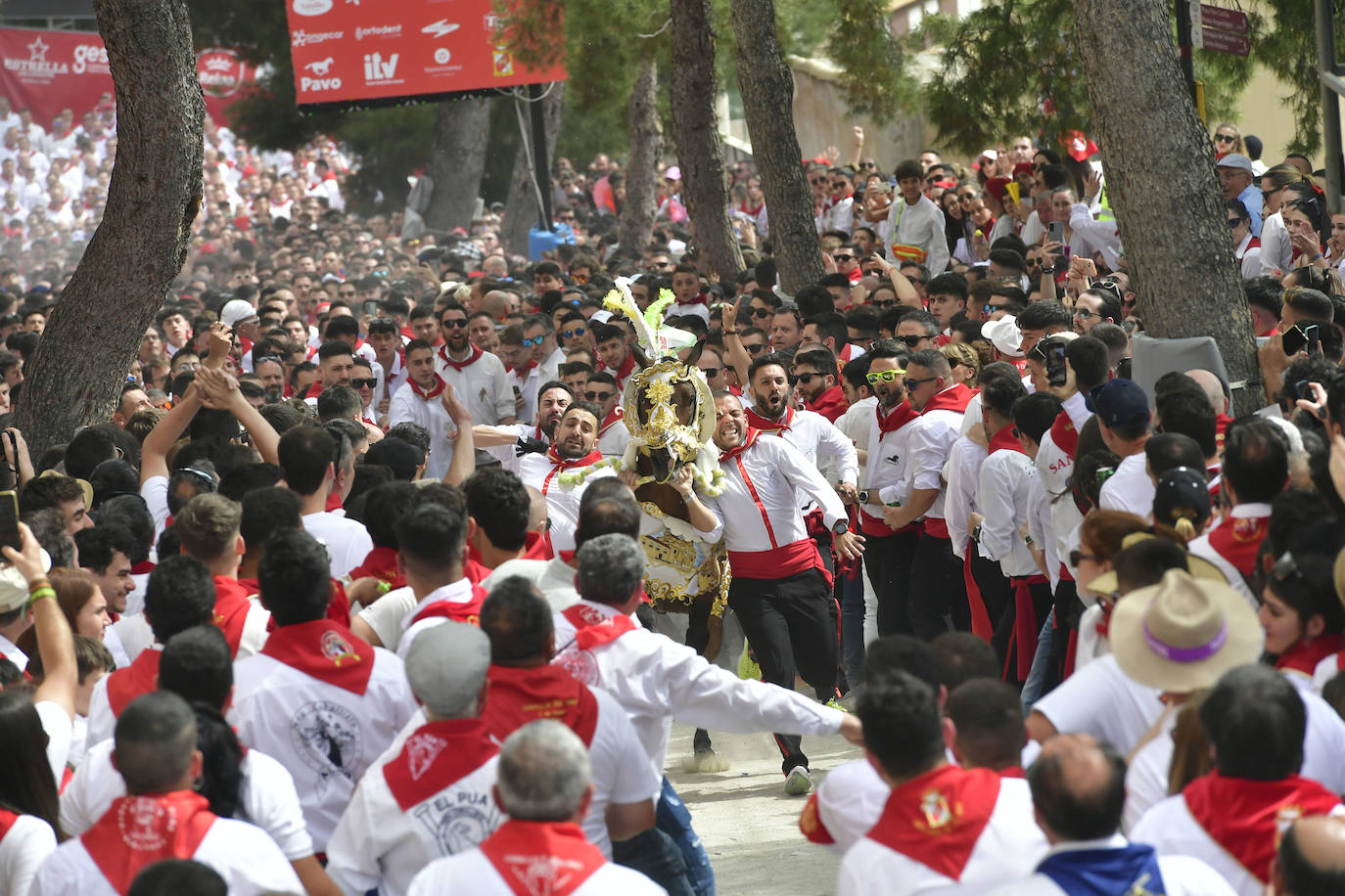 La carrera de los Caballos del Vino de Caravaca de la Cruz 2023, en imágenes