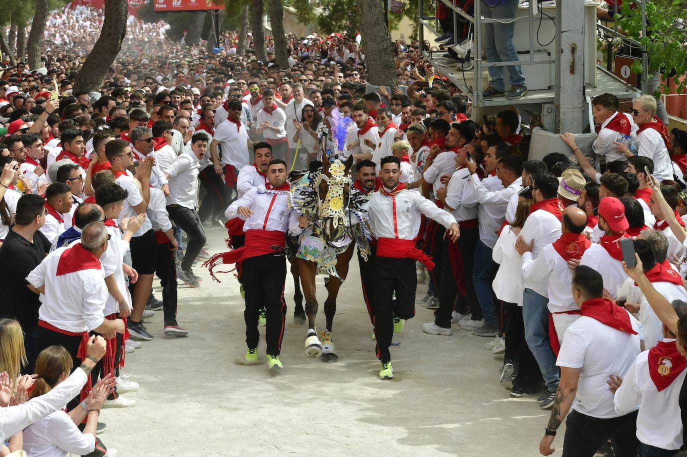 La carrera de los Caballos del Vino de Caravaca de la Cruz 2023, en imágenes