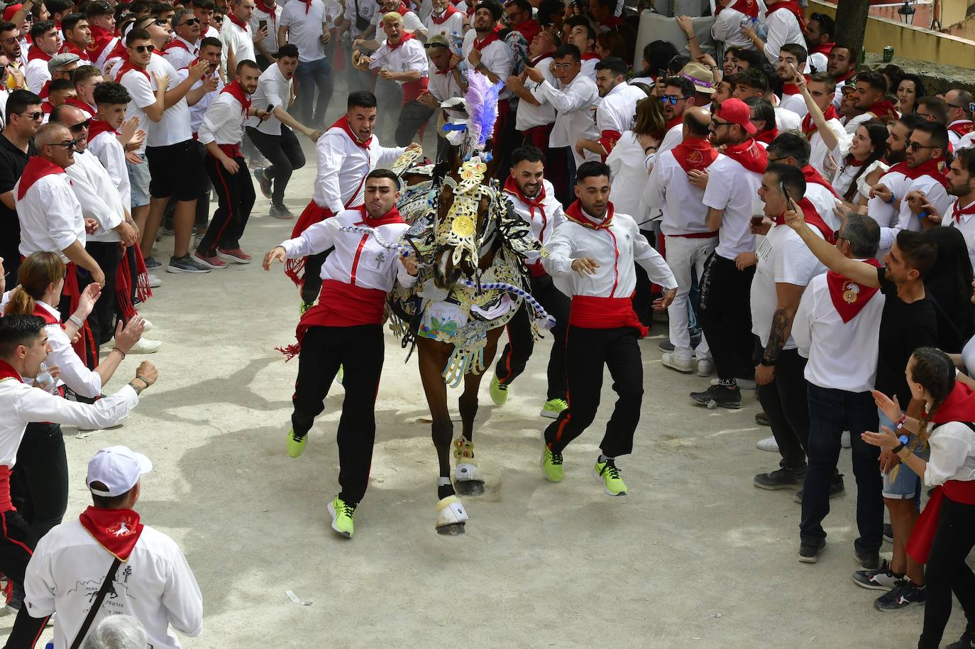 La carrera de los Caballos del Vino de Caravaca de la Cruz 2023, en imágenes