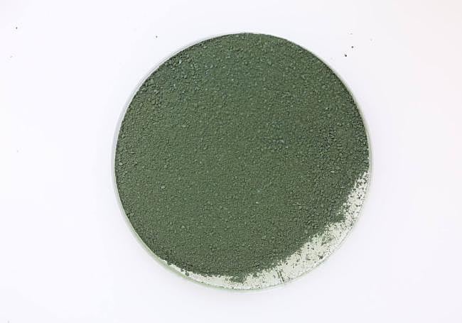 Espirulina en polvo, con la que se fabrican las pastillas.