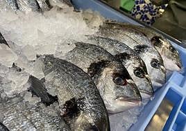 La dorada, otro tesoro más de ese joyero que es el Mar Menor