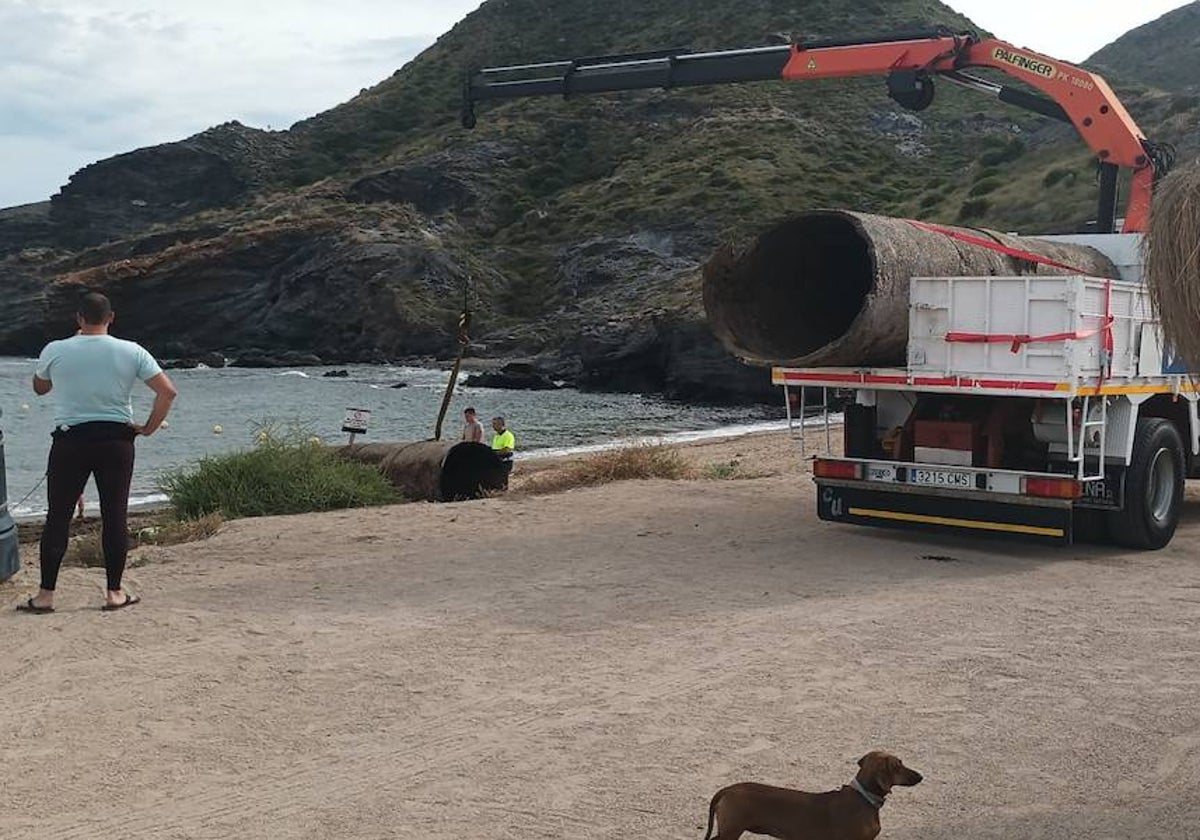 Extracción de dos secciones del emisario, en la playa de Cala Reona.