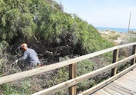 Un operario elimina especies invasoras, como la acacia, en el parque dunar de El Mojón, esta semana.