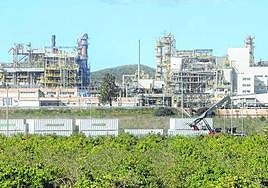 Bancal de limoneros junto a la factoría de Sabic en La Aljorra, en una imagen de archivo.