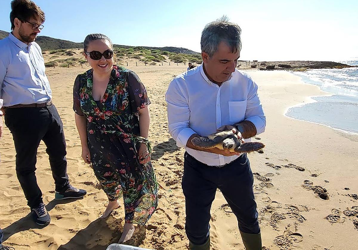 La tortuga boba liberada este martes en Calblanque.