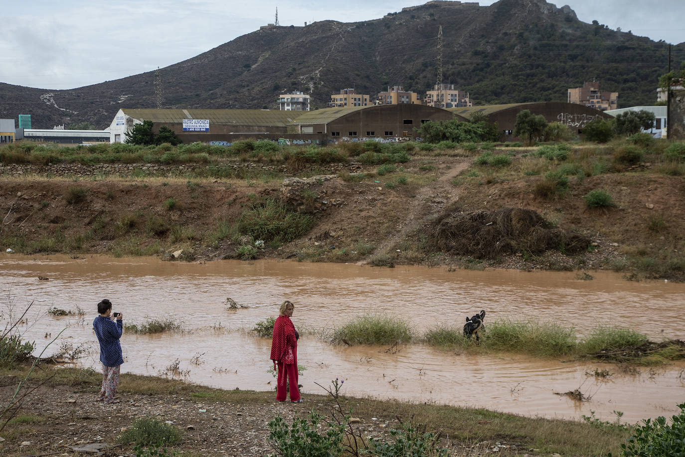 Los efectos de la DANA en Cartagena, en imágenes