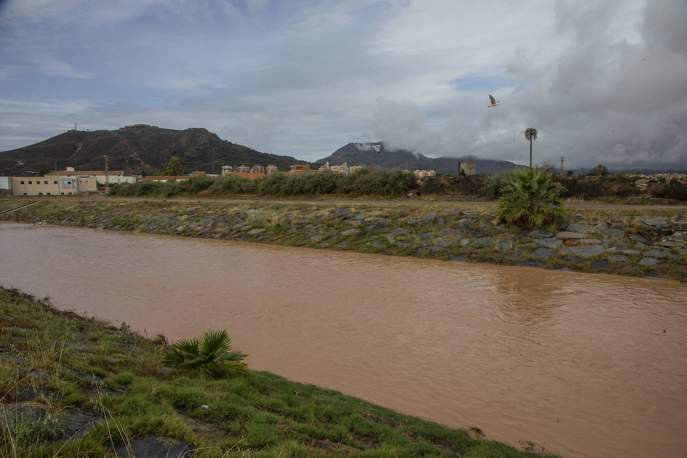 Los efectos de la DANA en Cartagena, en imágenes