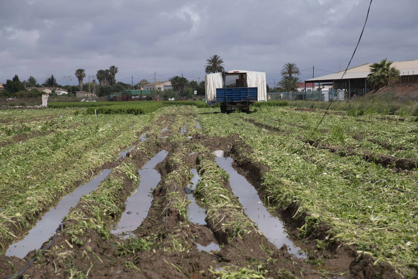 Los efectos de la DANA en Cartagena, en imágenes