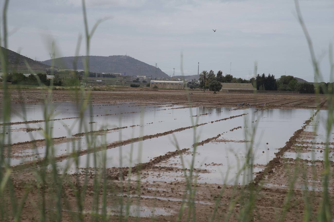Los efectos de la DANA en Cartagena, en imágenes