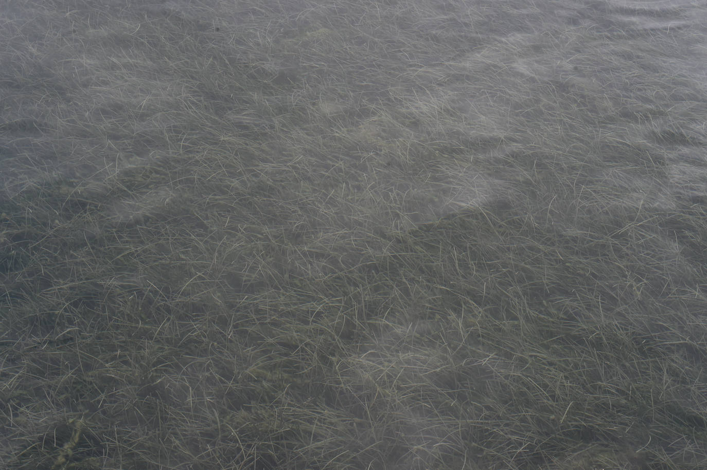 Galería: Los estragos de la lluvia en la Región de Murcia