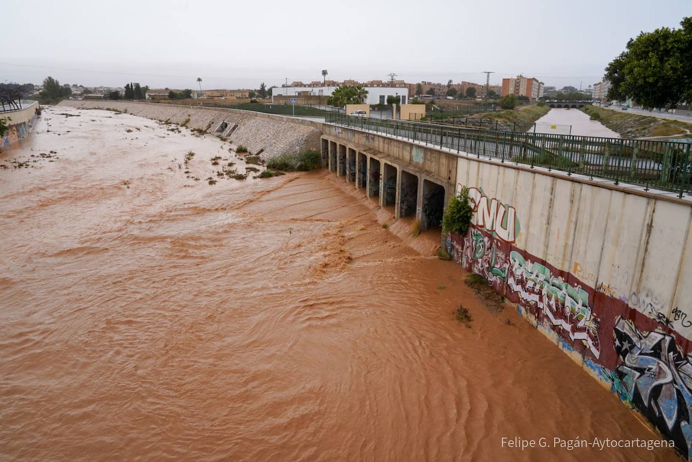 Los efectos de la DANA en Cartagena, en imágenes