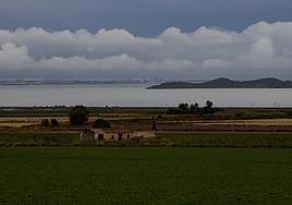 Un cultivo de la zona del Mar Menor, este martes.