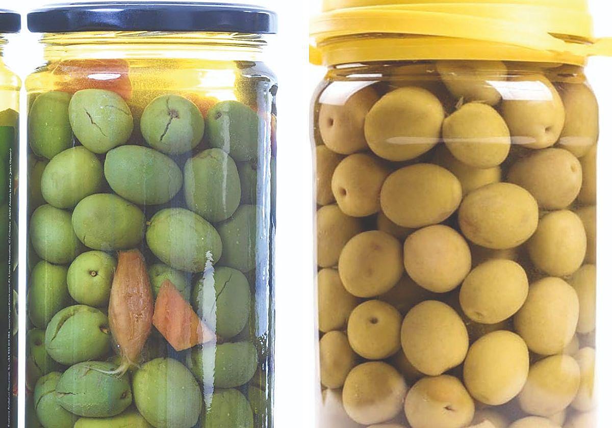 La aceituna mollar de Cieza, una variedad muy delicada que solo se cultiva en la Región