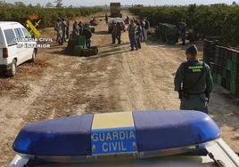 Agentes de la Guardia Civil trabajando en zonas agrícolas, en una imagen de archivo.