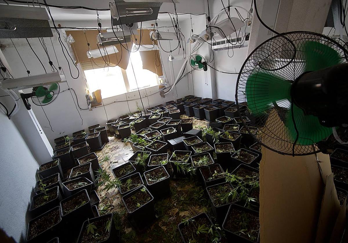 Operativo antidroga en Espinardo, en imágenes