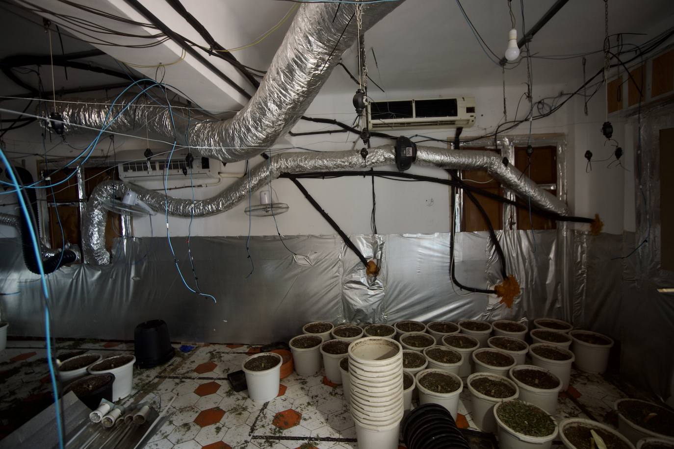 Operativo antidroga en Espinardo, en imágenes