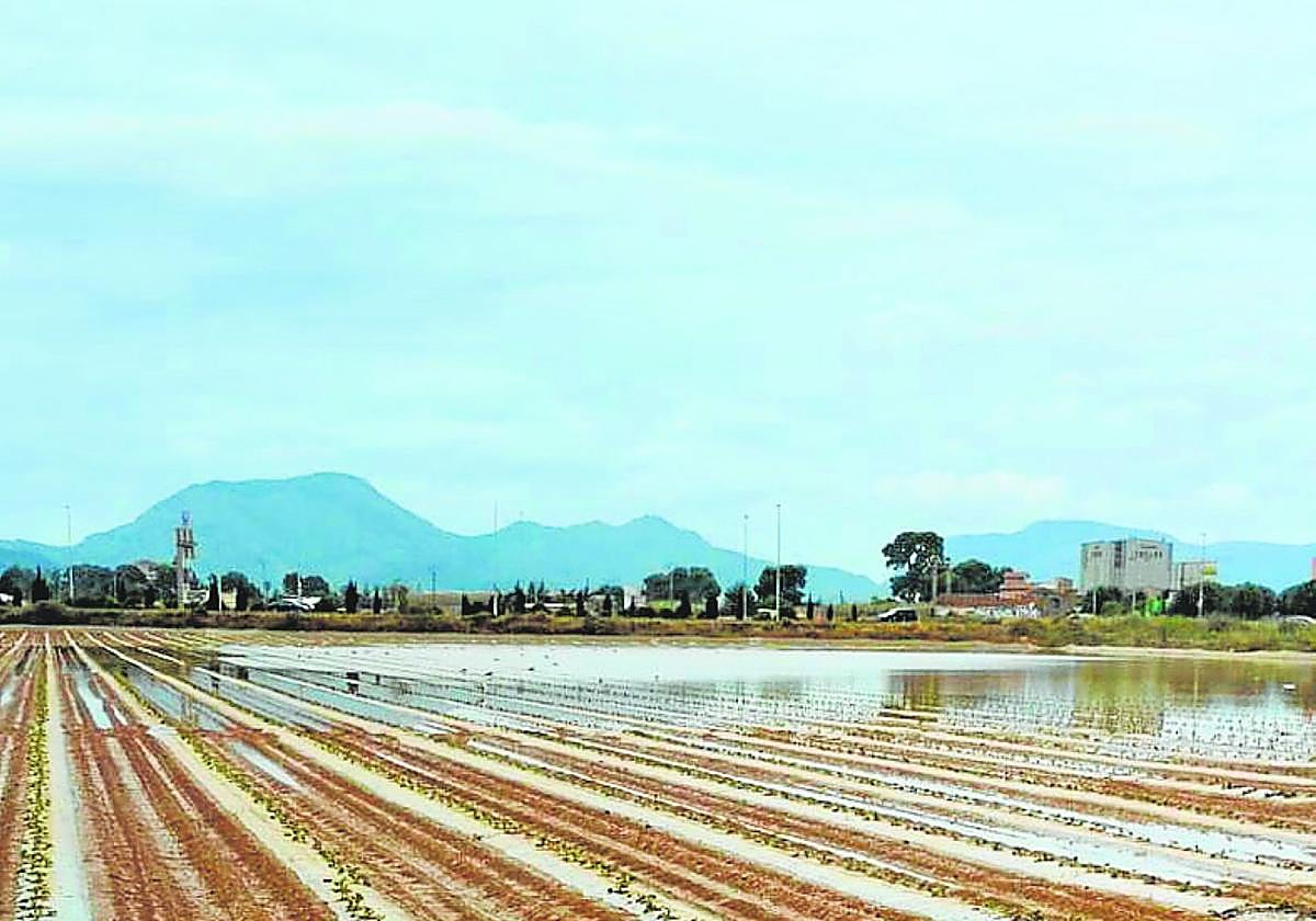 Explotaciones agrícolas inundadas tras las tormentas, la pasada semana.