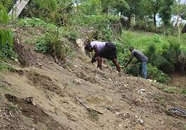 La reforestación de Haití es un reto irrenunciable para Manos Unidas