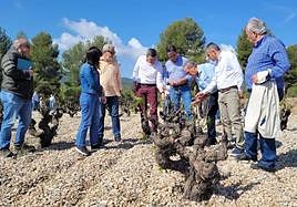 El consejero de Agricultura en funciones, Antonio Luengo, durante su visita a campos de viñedos de Bullas.