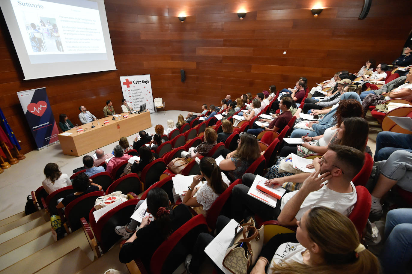 I Jornadas de Salud Mental en Jóvenes de la Región