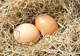 Este es el motivo por el que los huevos se venden en docenas.