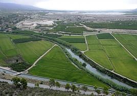 Imagen de archivo de los arrozales de Calasparra.