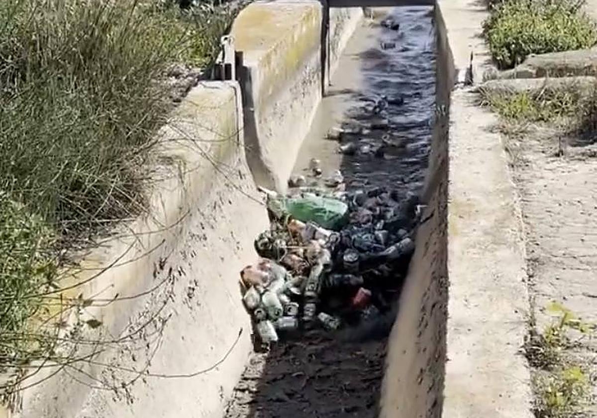 Latas en una acequia de Callosa de Segura.