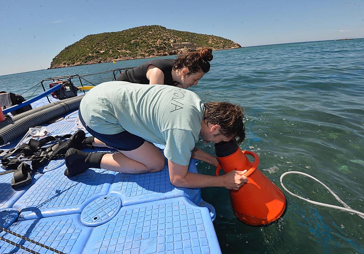 Los arqueólogos examinan ya el barco fenicio de Mazarrón