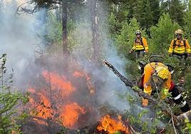 Tres de los bomberos de la Región de Murcia desplazados a Canadá trabajan en un incendio forestal declarado en Camp Claverie.