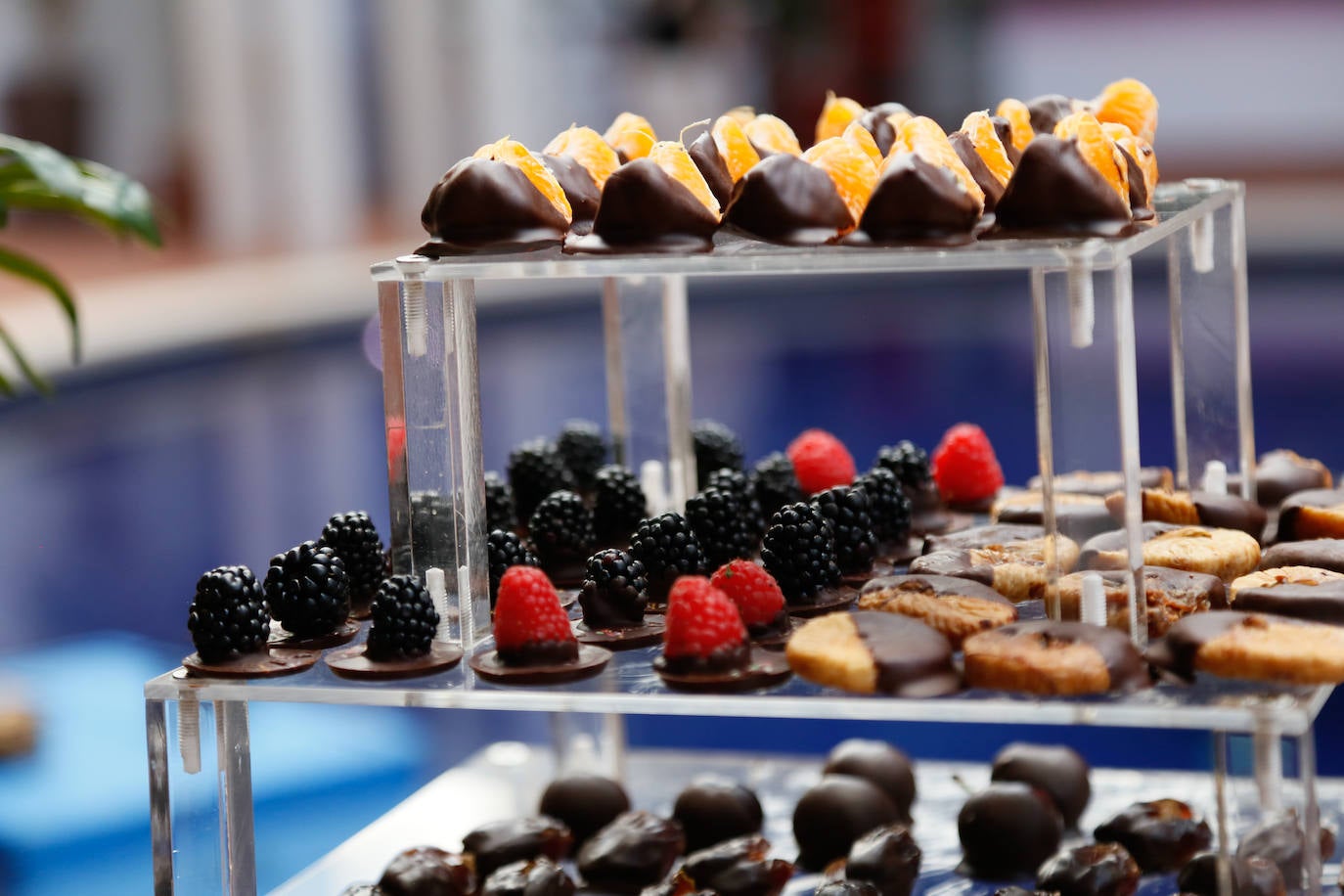 Una noche para el recuerdo en Trips Summer Club