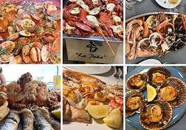 Arriba, de izquierda a derecha: platos del Restaurante Estrella de Mar, La Peña Restaurante, Marisquería La Marina; abajo: elaboraciones de Freiduría Mar Menor, Restaurante Venezuela y Rincón marinero.