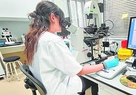 Imagen de la instalación de placas solares en un parque.